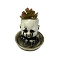 thumbnail image 5 of Halloween24x7 220-White Creepy Baby Doll Head Planter with Saucer, Distressed White, 5 of 9