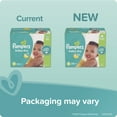 thumbnail image 2 of Pampers Baby Dry Diapers Size 4 150 Count, 2 of 6