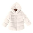 thumbnail image 2 of Dyfzdhu Toddler Girls Jacket Fall Fashionable Winter Infant Kids Fleece Collar Soild Jackets Warm Hooded Woolen Coats, 2 of 3