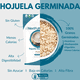 thumbnail image 2 of Hojuelas de Avena Germinada |  NextFuture Foods I 680 g, 2 of 9