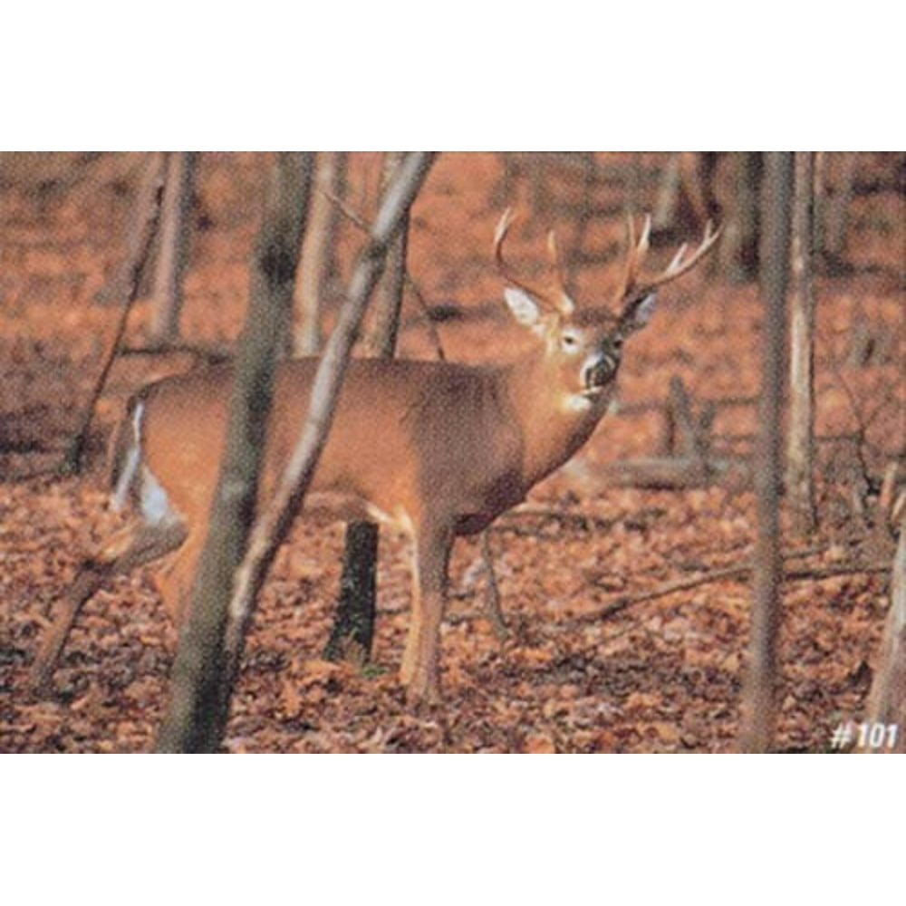 TruLife Paper Targets Deer SneakDelta 101 Whitetail Deer Target By
