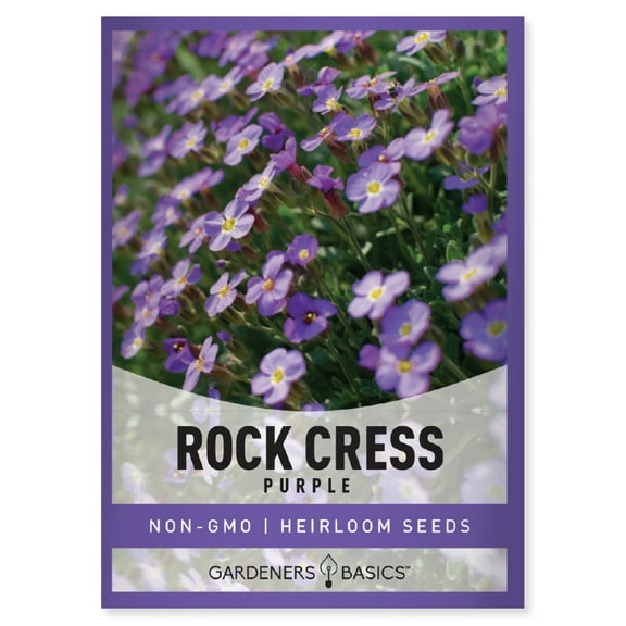 Purple Rockcress Seeds