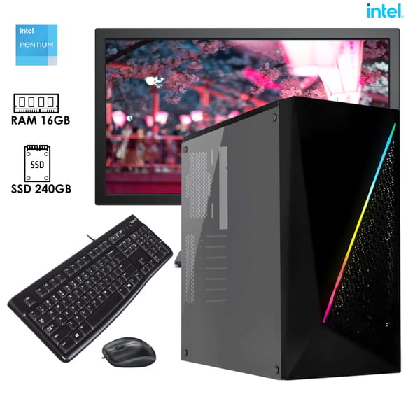Computadora Desktop Gold G6405 Intel RAM 16GB SSD 240GB monitor 19.5"
