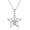 Type 2, variant on Diamond Star Necklaces for Women 925 Sterling Silver Star Jewelry Gifts for Mom Wife Girlfriend Daughter Sister Friend