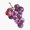 1pcs, variant on Grape Fresh Kitchen Decor Art Fresh Style Vinyl Sticker