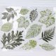 thumbnail image 3 of Green Leaf Seal DIY Hand Account Scrapbook Finished Stamp Photo Album Decoration, 3 of 3
