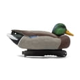 thumbnail image 3 of Final Approach HD Series Floating Mallard Duck Decoys, 12 Pack, 3 of 9