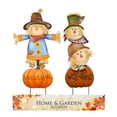 thumbnail image 2 of SCARECROW WELCOME STAKE, 2 of 2