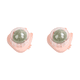 thumbnail image 1 of Con Hierba Gatera Comida Natural Saludable para Gatos Comestible Bocadillos Menta () Rosa, 1 of 5