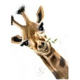 thumbnail image 2 of Shefranov, Olga 12x14 White Modern Wood Framed Museum Art Print Titled - Giraffe, 2 of 4
