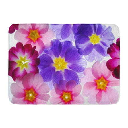 GODPOK Beauty Red Primrose Primula Flowers Yellow Beautiful Best Rug Doormat Bath Mat 23.6x15.7 (Best Dior Beauty Products)