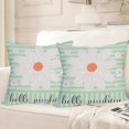 thumbnail image 2 of 2 Pack Waterproof Hello Sunshine Pillow Covers 20x20 Inch Green White Daisy Floral Throw Pillow Covers Outdoor Spring Summer Farmhouse Decorations Cushion Case Double Sided, 2 of 6