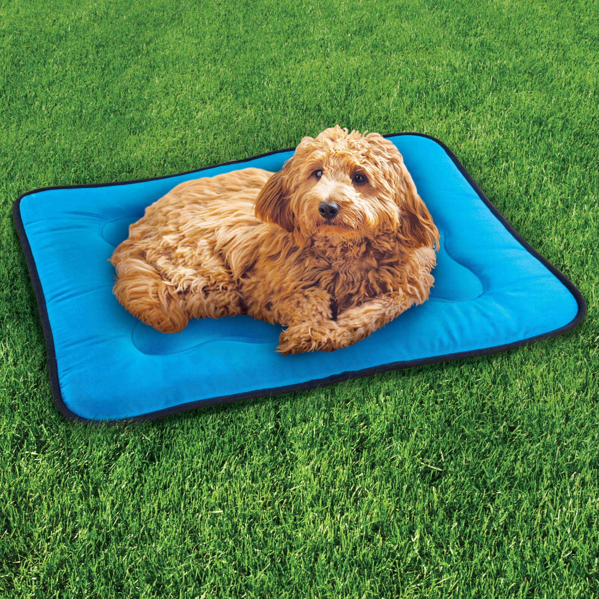 Collections Etc Indoor and Outdoor Waterproof Memory Foam Pet Mat