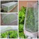 thumbnail image 4 of Red de protección contra insectos, red de protección de jardín de malla fina de 35 m para verduras, frutas y flores, blanco, 4 of 5