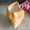 thumbnail image 4 of India Meets India Ceramic Planter [Orange], Modern Minimalistic Shell Planter for Home Decoration/Living Room/Bedroom/Office/Table/Bookshelf, 8 x 4.5 INCHES, 4 of 5