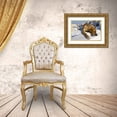 thumbnail image 3 of Young, Bill 14x11 Gold Ornate Wood Framed with Double Matting Museum Art Print Titled - Greece, Santorini, Thira, Oia Dog on villa roof, 3 of 4