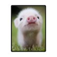 thumbnail image 1 of RYLABLUE Pig Fleece Blanket Throw Blanket 58x80 inches, 1 of 1