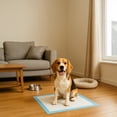 thumbnail image 5 of FPN Puppy Pads  Small 18"x13" - 100 Count Training Pads  – Leak-Proof, Fast-Drying, Odor Control, Disposable Dog Pads for Puppies and Pets, 5 of 11