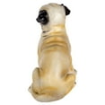 thumbnail image 3 of Truu Design Adorable Polyresin Pug Figurine, 3 of 4