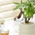 thumbnail image 5 of Clear Acrylic Planter for Succulents - Modern Desktop Decor with Durable, Eco-Friendly Design, 5 of 5