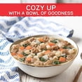 thumbnail image 3 of Gardein Plant-based Meatball Italian Wedding Soup, Vegan, 15 oz, 3 of 3
