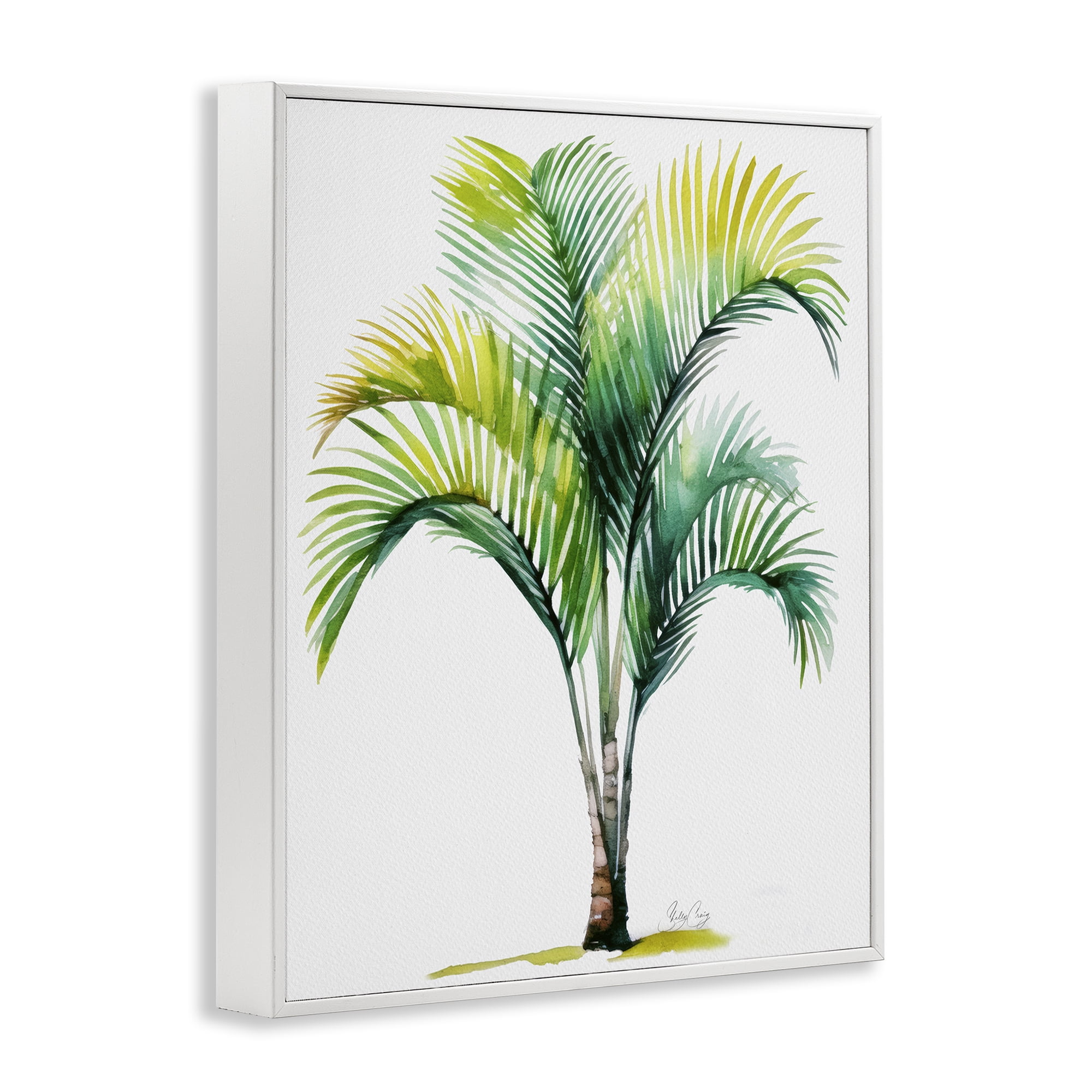 Stupell Industries Coastal Canopy Palm Tree White Framed Giclee Art, design by Shelly Craig