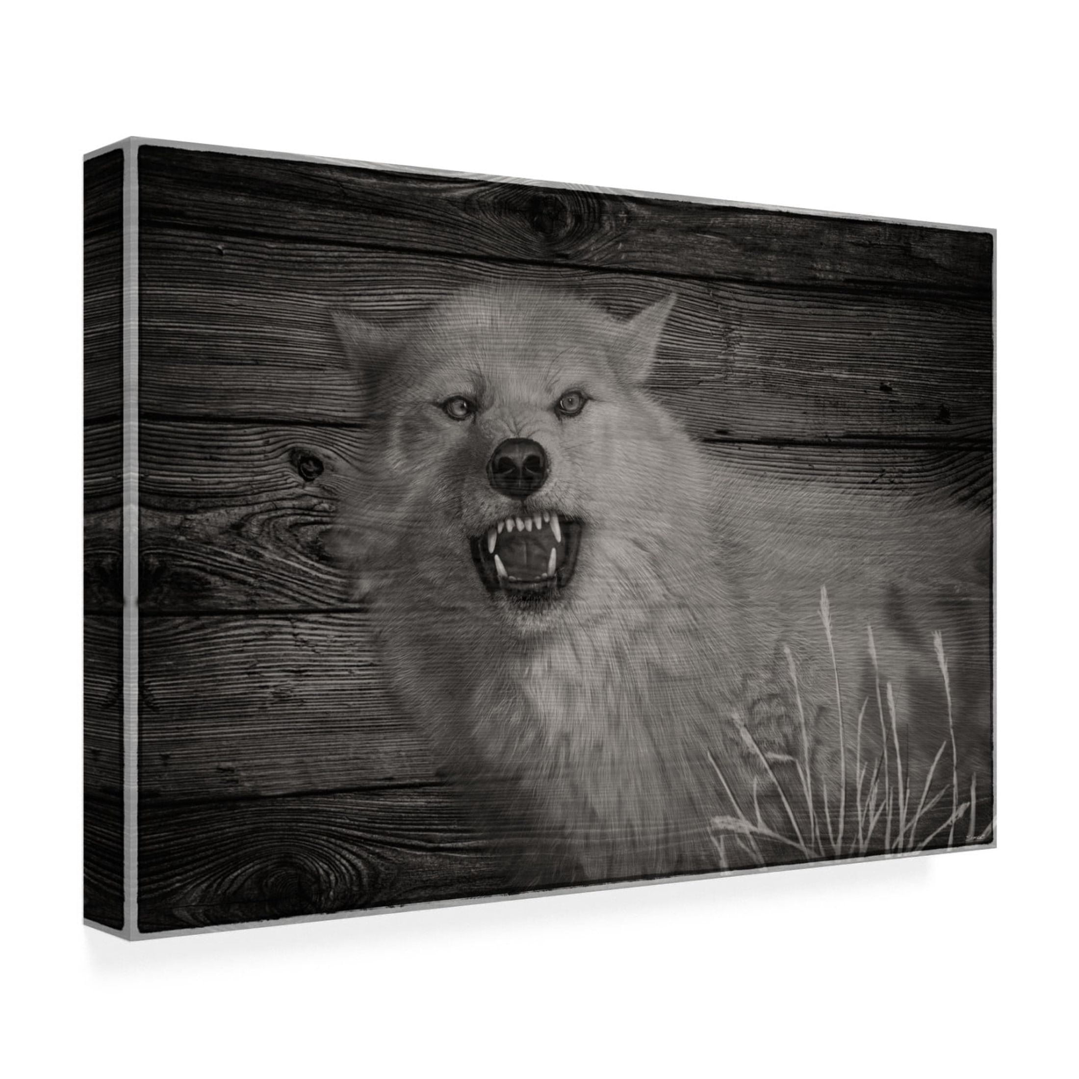 Canvas Wall Art - Gordon Semmens 'Woodgrain Antiques 15' Wall Art for Living Room, Bedroom, or Office Décor by Trademark Fine Art - 19 x 12 Inches