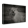 thumbnail image 4 of Canvas Wall Art - Gordon Semmens 'Woodgrain Antiques 15' Wall Art for Living Room, Bedroom, or Office Décor by Trademark Fine Art - 19 x 12 Inches, 4 of 4