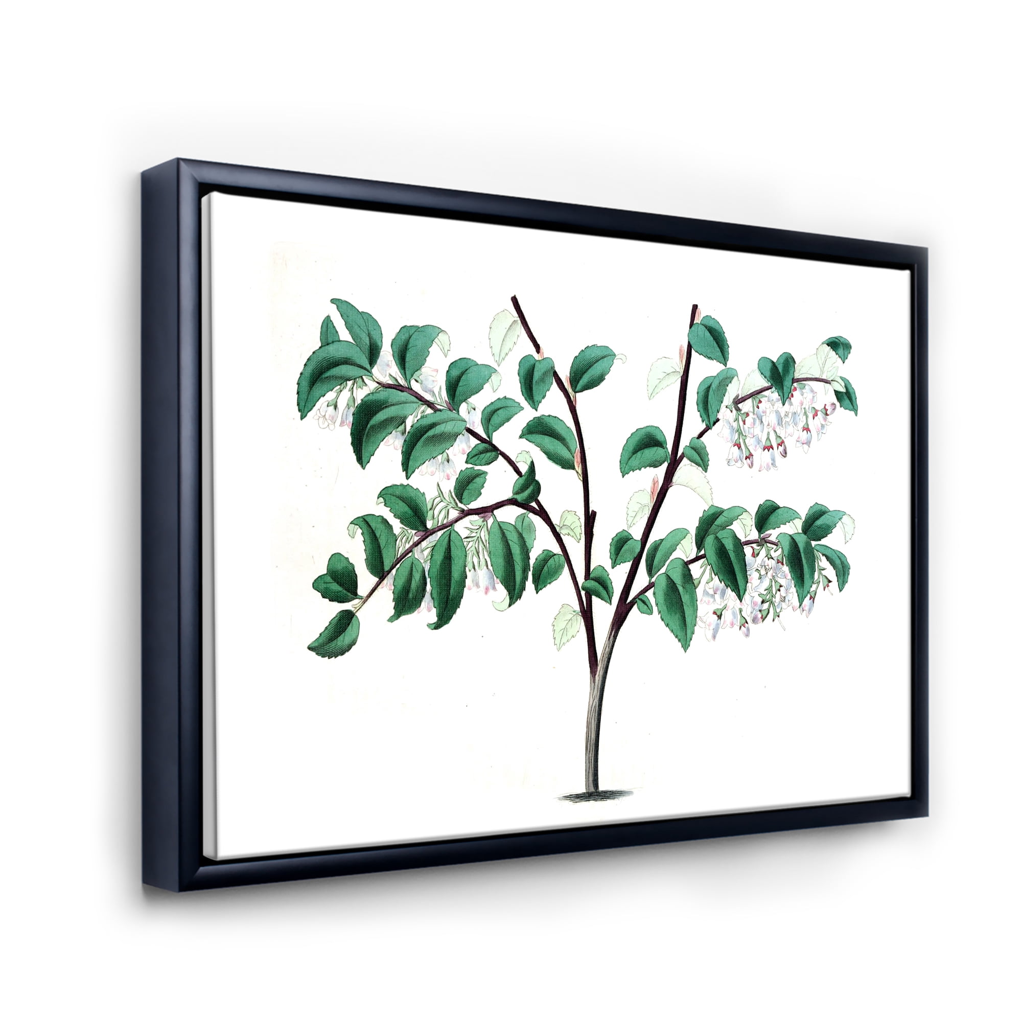 Designart 'Ancient Green Leaves Plants I' Traditional Framed Canvas Wall Art Print