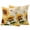 GoldenRod, variant on 2 Pack Outdoor Waterproof Throw Pillow Covers,Summer Blossom Sunflower Bee Decorative Square Patio Pillowcases for Chair Couch Sofa 16x16in