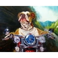 thumbnail image 2 of Heffernan, Lucia 24x20 Gold Ornate Wood Framed with Double Matting Museum Art Print Titled - Born To Be Wild, 2 of 4