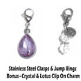 thumbnail image 2 of Birthstone Charms For Bracelets, Necklaces, Purse or Bag Charms, Easy To Clip On Anywhere - June Birthstone Charm, 2 of 4