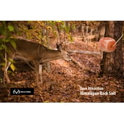 Realtree Himalayan Salt Lick Block Deer Attractant with Rope for Hanging, 4.4 lb Natural Pink Color