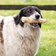 thumbnail image 2 of Masticables de madera para perros Mumbies, masticables de madera Mumbies, masticables para perros Mumbies, juguete masticable de madera para perros con sabor a café, juguete de madera para perros con, 2 of 5