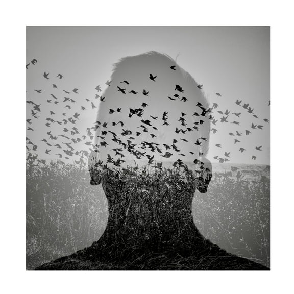 Trademark Fine Art Viktor Bauer  Beautiful mind 2 Canvas Wall Art