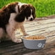 thumbnail image 4 of Cuencos para perros Cuencos de alimentación Cuencos de agua Cuenco de comida con suela de silicona antideslizante, Cuenco para perros de acero inoxidable, 4 of 5