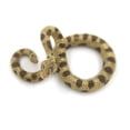 thumbnail image 5 of 1Set Model Snake Ornament Novelty Practical Joke Prank Props Trick Accessories, 5 of 8