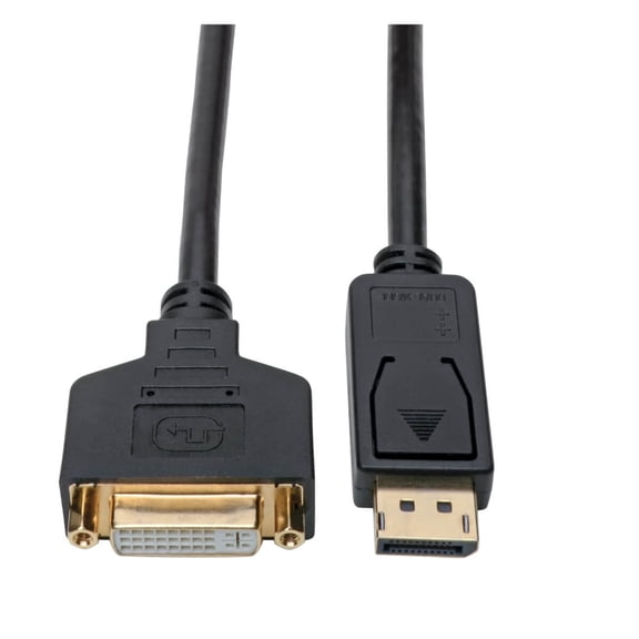Tripp Lite P134-001-GC DisplayPort to DVI Cable Adapter Converter 1 ft. - Black