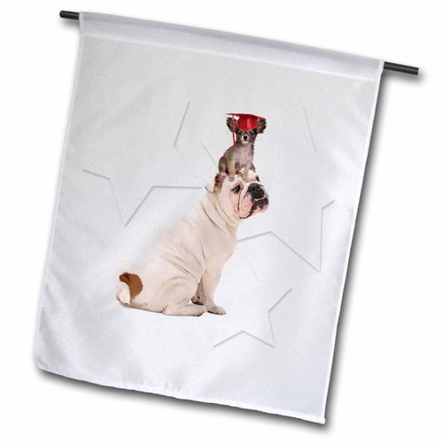 3dRose, Papillon Dog in a Graduation Hat Sitting on the Head of a Bulldog, 18 x 27 inch Garden Flag