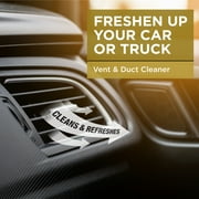 A/C Pro Vent & Duct Cleaner Odor Neutralizer for Automotive HVAC Systems, 10 ounces