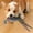 Pheasant 30X8.5X6cm, variant on Hunting Decoy Dog Toy Dog Training Simulation Decoy for Yard Pond Decoration Duck 35X9X7cm