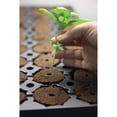 thumbnail image 4 of General Hydroponics Rapid Rooter Replacement Plugs, 4 of 6