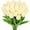Goose Yellow, variant on 10pcs Artificial Tulip Flowers, Real Touch Fake Flowers Bulk for Mothers Day Home Office Centerpiece Indoor Outdoors Spring Easter Decorations