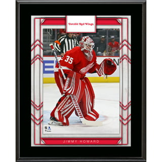 Lids Dylan Larkin Detroit Red Wings Fanatics Authentic Framed 15'' x 17''  Player Panel Collage