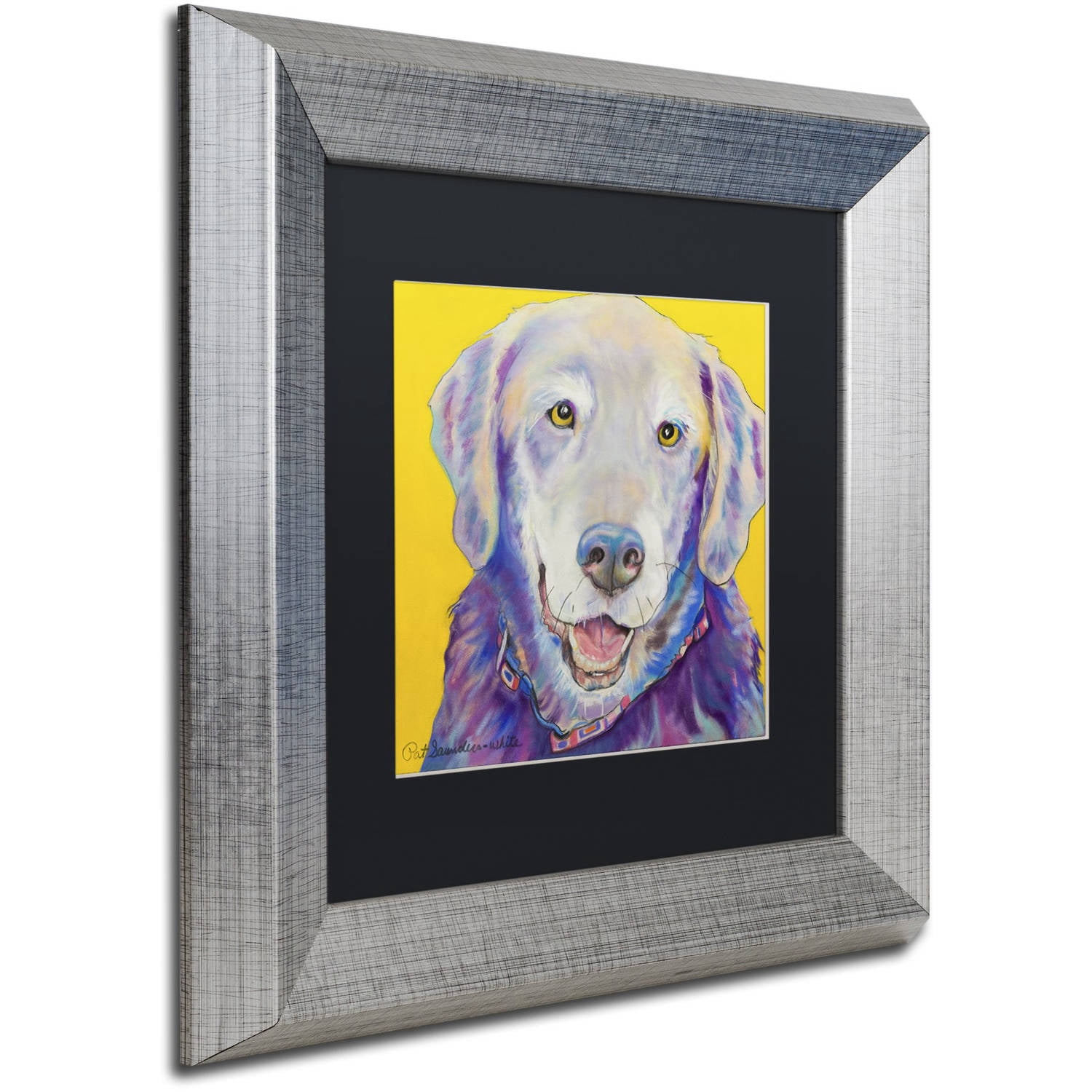 Trademark Fine Art "Willie" Canvas Art by Pat Saunders-White, Black Matte, Silver Frame