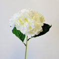 thumbnail image 1 of White Stem Hydrangea Artificial Flower, 1 of 1