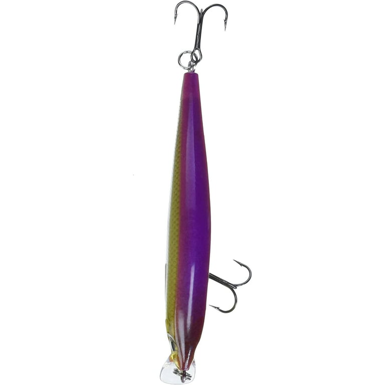 Bass Pro Shops Tourney Special 4 Inch Twitch-N-Minnow Purple Black Shad Lure
