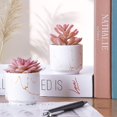 thumbnail image 5 of 2 Macetas De Cerámica Blanca Plantas Artificiales Suculentas, Mini Plantas Suculentas Artificiales, Plantas Falsas Para Decoración De Estantes, Baño, Dormitorio, Decoración De Oficina, D, 5 of 5