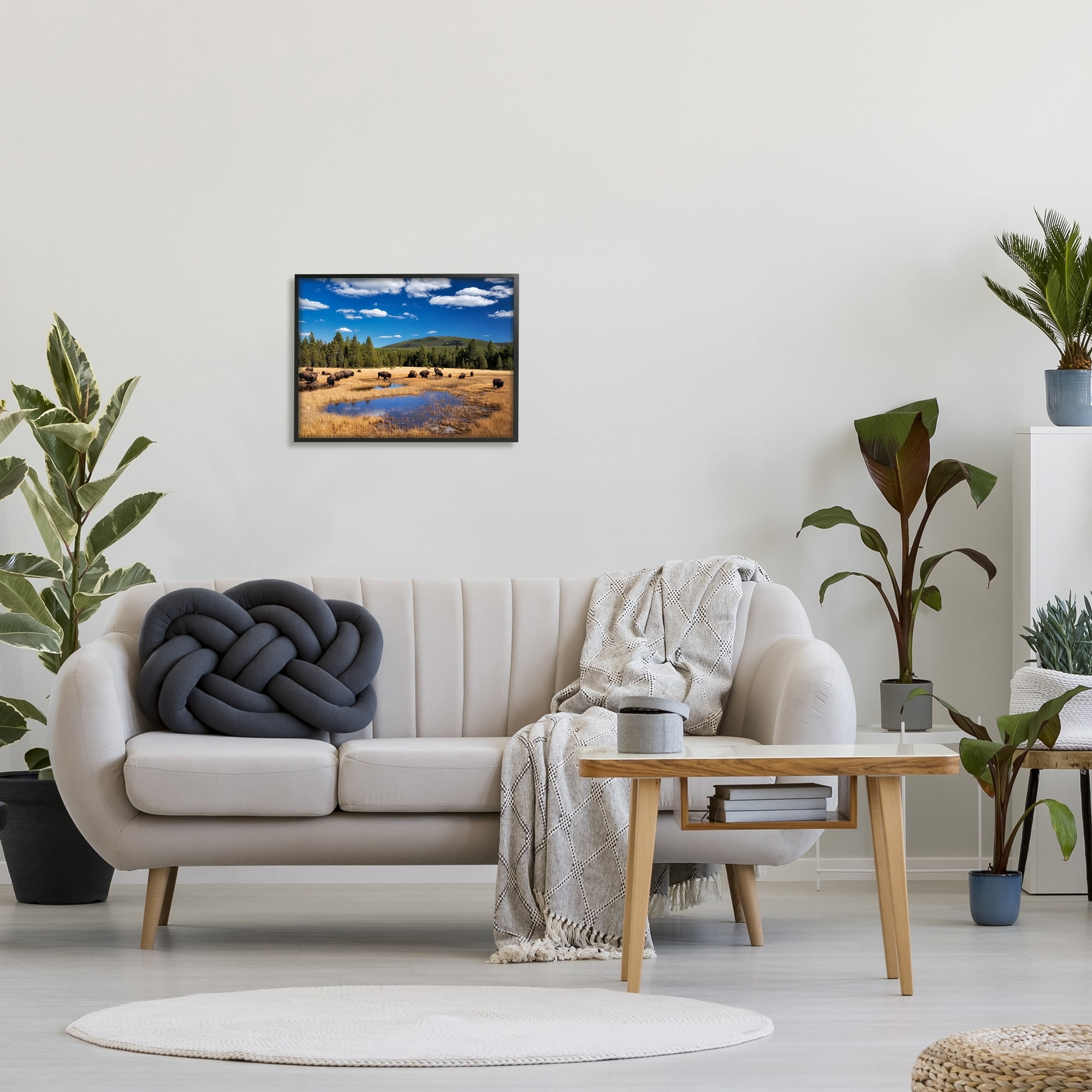 Stupell Industries Bison Grazing Clear Sky Pasture Landscape Photography Black Framed Art Print Wall Art
