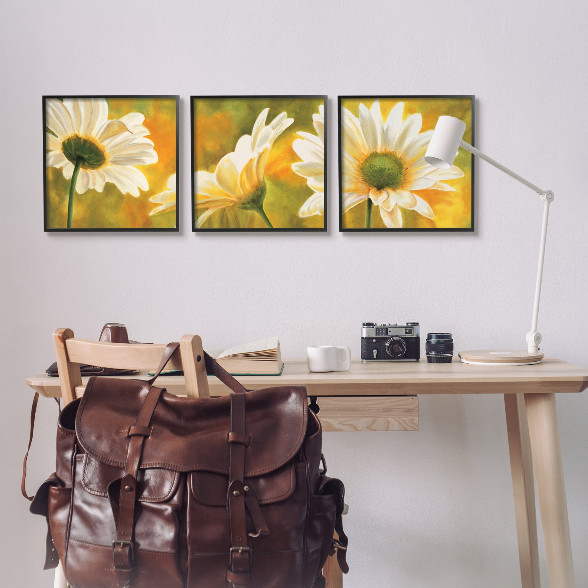 Stupell Blooming Wild Daisies Field Botanical & Floral Painting Black Framed Art Print Wall Art, Set of 3